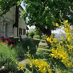 Séjour à la ferme Il Mandorlo - E Azienda Agricola Ferrato *
