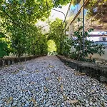Il Mandorlo - E Azienda Agricola Ferrato * Ancona