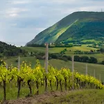 Alojamento de Turismo Rural Il Mandorlo - E Azienda Agricola Ferrato Ancona