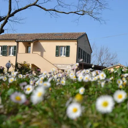 Il Mandorlo - E Azienda Agricola Ferrato