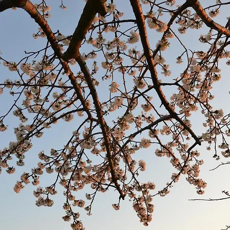Bauernhof Il Mandorlo - E Azienda Agricola Ferrato *