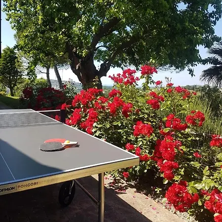 Agroturismo Il Mandorlo - E Azienda Agricola Ferrato Ancona