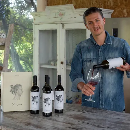 Il Mandorlo - E Azienda Agricola Ferrato * Ancona