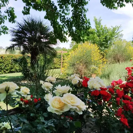 Il Mandorlo - E Azienda Agricola Ferrato Bauernhof *