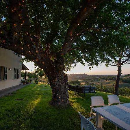 Il Mandorlo - E Azienda Agricola Ferrato Ancona