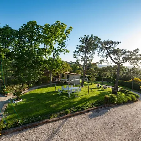 Il Mandorlo - E Azienda Agricola Ferrato Ancona