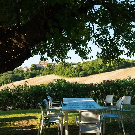 Il Mandorlo - E Azienda Agricola Ferrato * Ancona