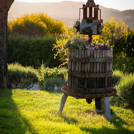 Bauernhof Il Mandorlo - E Azienda Agricola Ferrato