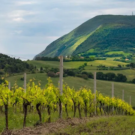 ファームステイ Il Mandorlo - E Azienda Agricola Ferrato アンコーナ