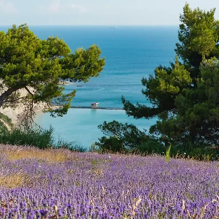 Il Mandorlo Alloggio per agriturismo *